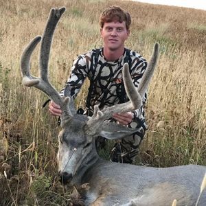 Meet your Posher, Dillon